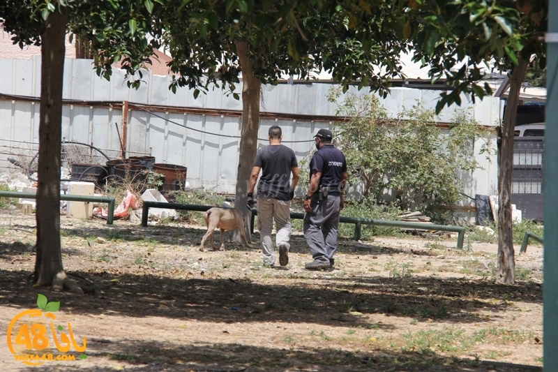 modahama ajyal prime (3).JPG